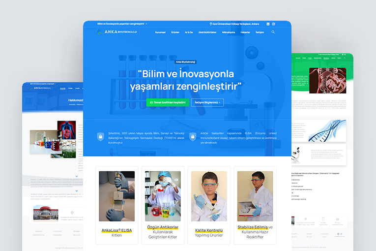 anka portfolio website anka portfolio website