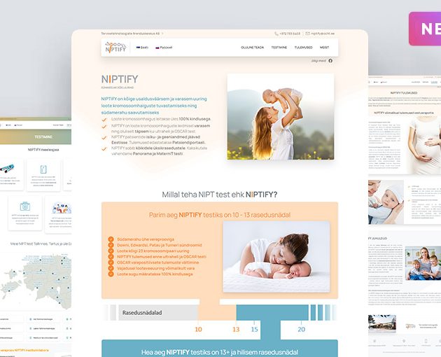 niptify portfolio website